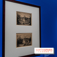 Exposition Van Gogh au Musée d’Orsay - Auvers-sur-Oise, les derniers mois -  A7C3041