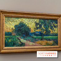 Exposition Van Gogh au Musée d’Orsay - Auvers-sur-Oise, les derniers mois -  A7C3119