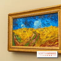 Exposition Van Gogh au Musée d’Orsay - Auvers-sur-Oise, les derniers mois -  A7C3120