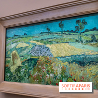 Exposition Van Gogh au Musée d’Orsay - Auvers-sur-Oise, les derniers mois -  A7C3111