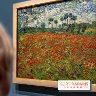 Exposition Van Gogh au Musée d’Orsay - Auvers-sur-Oise, les derniers mois -  A7C3110