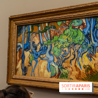 Exposition Van Gogh au Musée d’Orsay - Auvers-sur-Oise, les derniers mois -  A7C3116