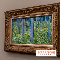 Exposition Van Gogh au Musée d’Orsay - Auvers-sur-Oise, les derniers mois -  A7C3118