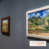 Exposition Van Gogh au Musée d’Orsay - Auvers-sur-Oise, les derniers mois -  A7C3046