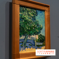 Exposition Van Gogh au Musée d’Orsay - Auvers-sur-Oise, les derniers mois -  A7C3071