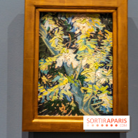 Exposition Van Gogh au Musée d’Orsay - Auvers-sur-Oise, les derniers mois -  A7C3080
