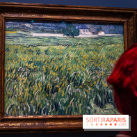 Exposition Van Gogh au Musée d’Orsay - Auvers-sur-Oise, les derniers mois -  A7C3104
