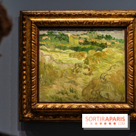 Exposition Van Gogh au Musée d’Orsay - Auvers-sur-Oise, les derniers mois -  A7C3075