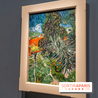 Exposition Van Gogh au Musée d’Orsay - Auvers-sur-Oise, les derniers mois -  A7C3070