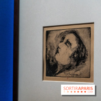 Exposition Van Gogh au Musée d’Orsay - Auvers-sur-Oise, les derniers mois -  A7C3128