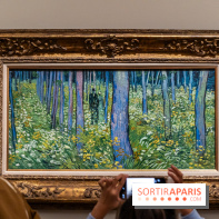 Exposition Van Gogh au Musée d’Orsay - Auvers-sur-Oise, les derniers mois -  A7C3124