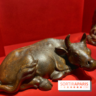 Retour d'Asie au Musée Cernuschi - IMG 5599