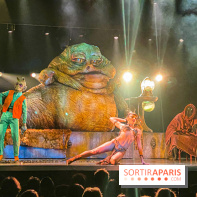 Star Wars The Empire Strips Back