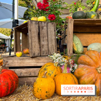 Automne au Potager du Roi - Citrouilles - Halloween