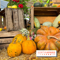 Automne au Potager du Roi - Citrouilles - Halloween