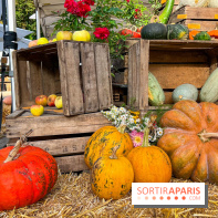 Automne au Potager du Roi - Citrouilles - Halloween