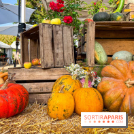 Automne au Potager du Roi - Citrouilles - Halloween