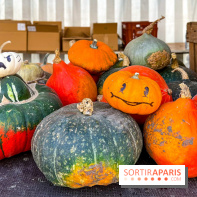 Automne au Potager du Roi - Citrouilles - Halloween