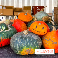 Automne au Potager du Roi - Citrouilles - Halloween
