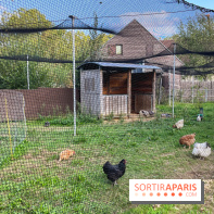 La ferme pédagogique du parc des Chanteraines