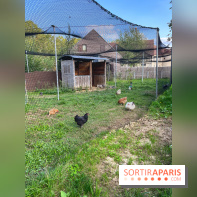La ferme pédagogique du parc des Chanteraines