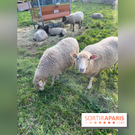 La ferme pédagogique du parc des Chanteraines