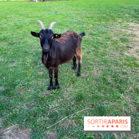 La ferme pédagogique du parc des Chanteraines