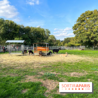 La ferme pédagogique du parc des Chanteraines