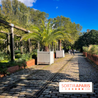 Parc de Bercy visuels - IMG 0156