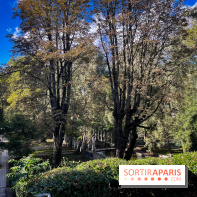 Parc de Bercy visuels - IMG 0166