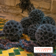 Exposition Entre Les Murs de Tanja Smeets et Karin van Dam Abbaye de Maubuisson