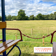 Le chemin de fer des Chanteraines - nos photos - image00016