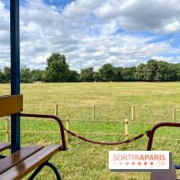 Le chemin de fer des Chanteraines - nos photos - image00018