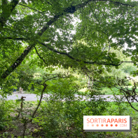 Le chemin de fer des Chanteraines - nos photos - image00006