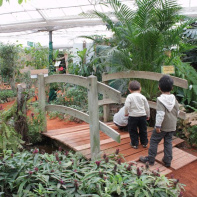 La serre aux papillons