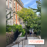 Vignes Montmartre