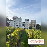 Vignes Montmartre