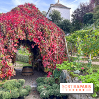Vignes Montmartre