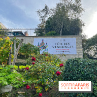 Fête Vendanges 2023 vignes