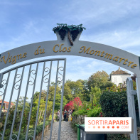 Vignes Montmartre