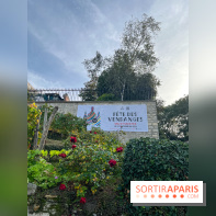 Vignes Montmartre - image00003