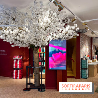 Rituals Mind Oasis - institut de relaxation mentale sur les Champs-Élysées