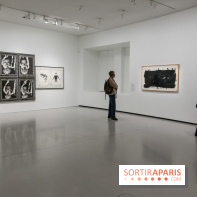 Mike Kelley à la Bourse de Commerce - IMG 1130