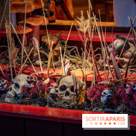 Halloween au Parc Astérix 2023 - Peur sur le Parc -  A7C3829