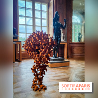 Critical Mass : l'exposition de sculptures d'Antony Gormley au Musée Rodin - nos photos - IMG20231016101042