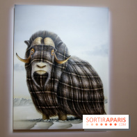 Sean Landers, les photos de son expo au Musée de la Chasse et de la Nature - IMG 1233