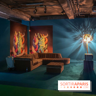 Doppelganger ! expo Jakob Lena Knebl Ashley Hans Scheirl Palais de Tokyo