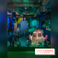 Doppelganger ! expo Jakob Lena Knebl Ashley Hans Scheirl Palais de Tokyo