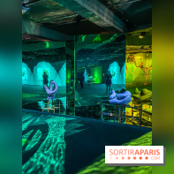 Doppelganger ! expo Jakob Lena Knebl Ashley Hans Scheirl Palais de Tokyo