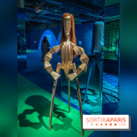 Doppelganger ! expo Jakob Lena Knebl Ashley Hans Scheirl Palais de Tokyo